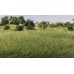 All Game Terrain Static Grass Medium Green 7mm