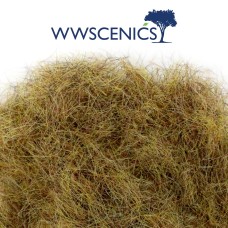 WWS 30g 10mm Patchy Static Grass