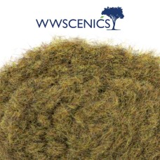 WWS 30g 2mm Patchy Static Grass