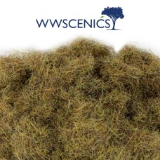 WWS 30g 4mm Patchy Static Grass
